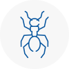 Ant Removals In Cambridgeshire