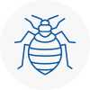 Bed Bug Extermination In Cambridgeshire