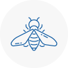 Bee Nest Removal Cambridgeshire