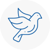Bird Prevention Cambridgeshire