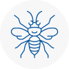 Cambridgeshire Hornet Nest Removals