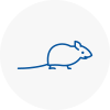 Mice Exterminators In Cambridgeshire