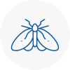 Moth Control Specialists In Cambridgeshire