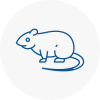 Rat Control Cambridgeshire