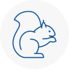 Cambridgeshire Rodent Removals