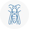 Cambridgeshire Wasp Nest Removal